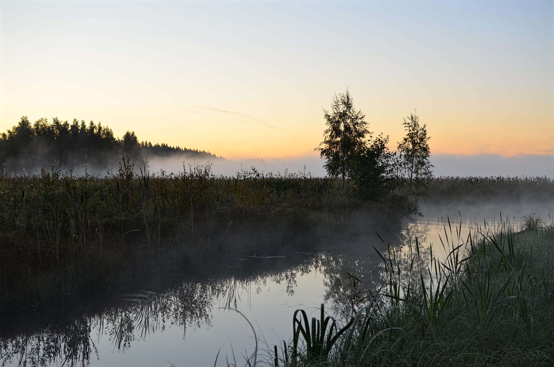 Vuokrasopimuksen irtisanomisaika